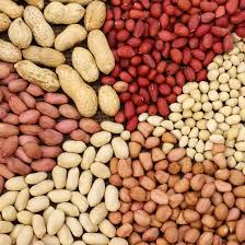 Groundnut Kernel